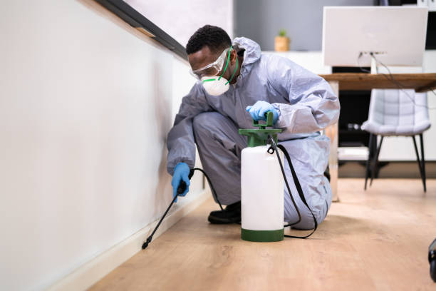 Best Pest Exclusion Services  in Vinita, OK